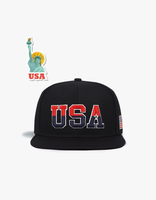 TEAM USA Flag Embroidered Snapback Hat
